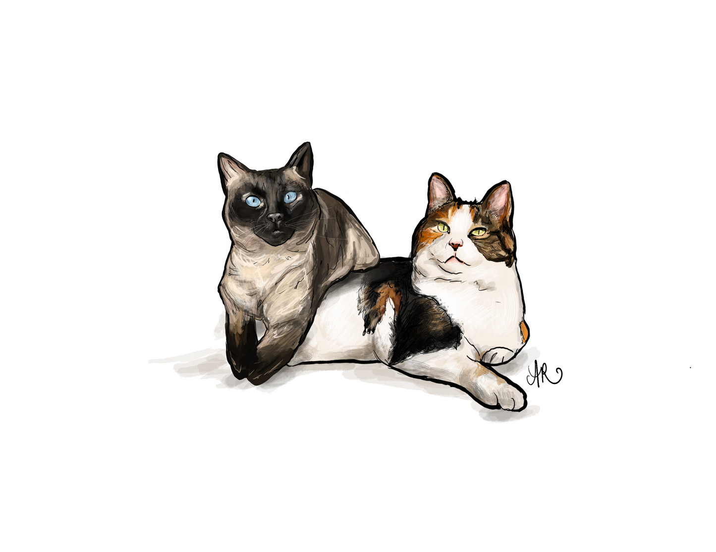 (Add-On) Additional Pet
