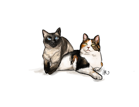 (Add-On) Additional Pet